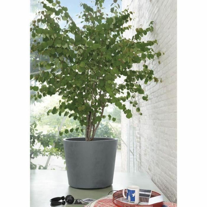 Deroma 9HB1ZSZ217 Maceta Millennium R Autorriego con Ruedas 59 cm Gris Ceniza 3
