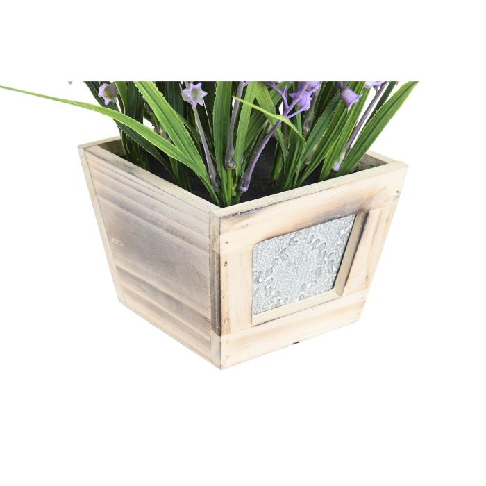 Planta Shabby DKD Home Decor Lila 24 x 24 x 24 cm (6 Unidades) 2 Planta Shabby DKD Home Decor Lila 24 x 24 x 24 cm (6 Unidades) 2