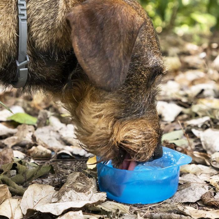 Botella con Depósito de Agua y Comida para Mascotas 2 en 1 Pettap InnovaGoods 9 Botella con Depósito de Agua y Comida para Mascotas 2 en 1 Pettap InnovaGoods 9
