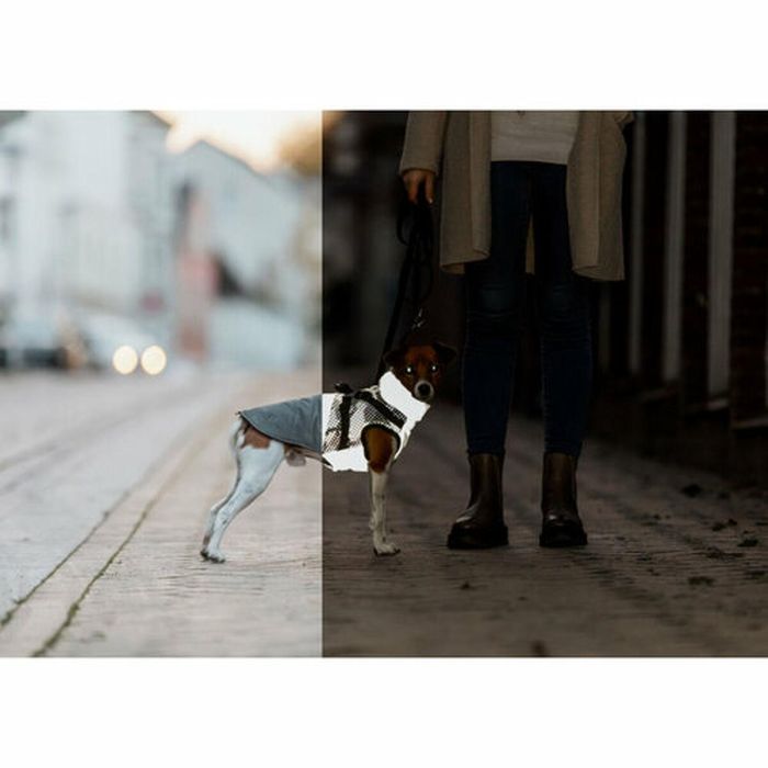 Abrigo para Perro Trixie Pontis Reflect Gris XXS 1 Abrigo para Perro Trixie Pontis Reflect Gris XXS 1