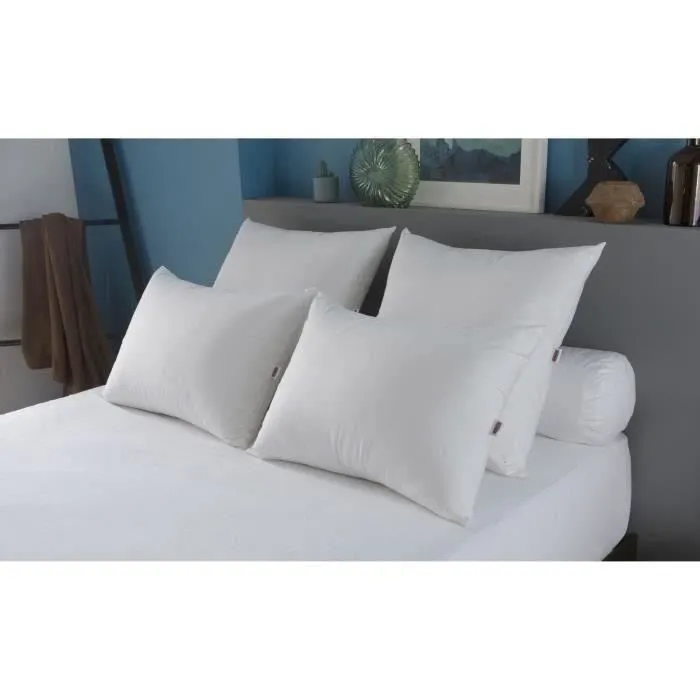 Dodo Almohada Grand luxe Quallofil Allerban 60x60 cm Blanco Algodón Lujo Tratamiento Antiácaros Fabricación Francesa Dodo Almohada Grand luxe Quallofil Allerban 60x60 cm Blanco Algodón Lujo Tratamiento Antiácaros Fabricación Francesa