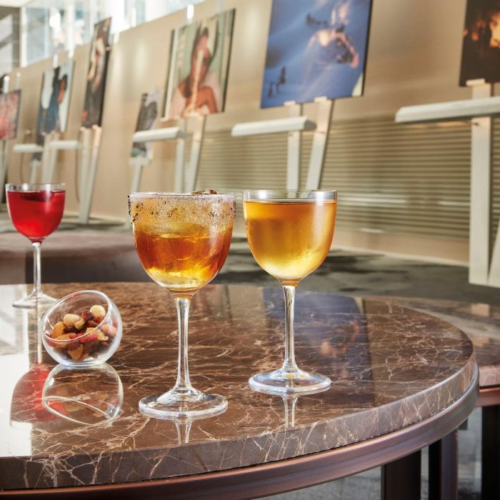 Chef & Sommelier Caja 6 Copas Cocktail Nick & Nora de Vidrio 15 cL 4