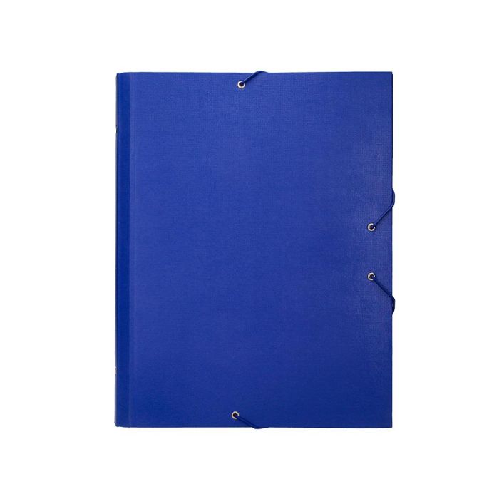 Carpeta Clasificadora Liderpapel 12 Departamentos Folio Prolongado Carton Forrado Azul 1