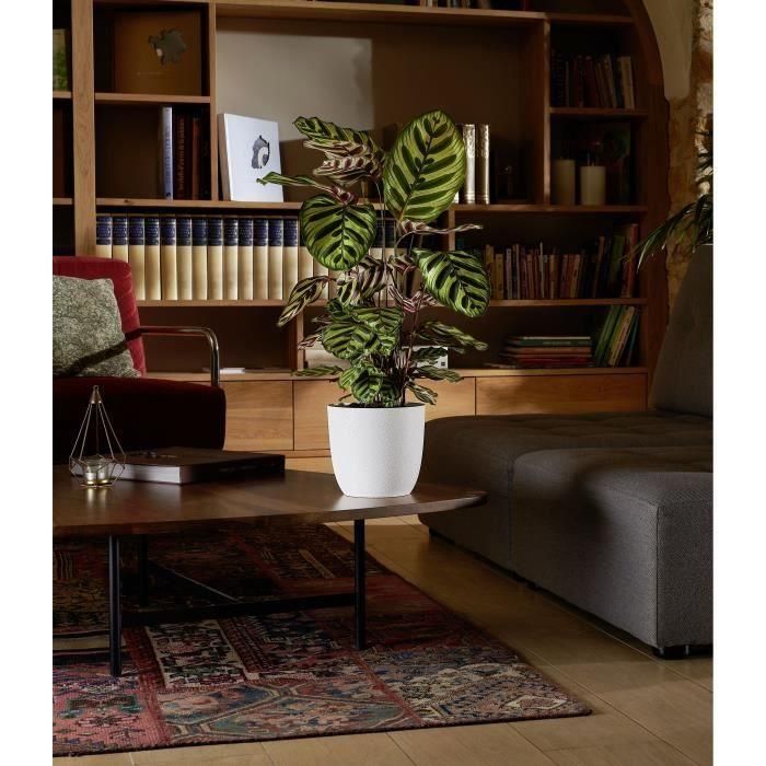 EDA Opal Chape Ø 29.5 cm - Volumen 14.8 L - White White 2 EDA Opal Chape Ø 29.5 cm - Volumen 14.8 L - White White 2