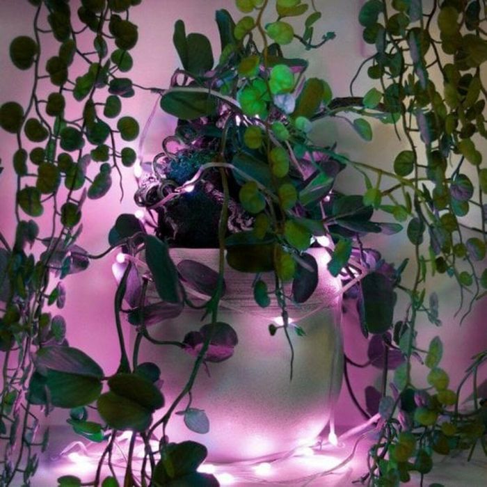 muvit iO Guirnalda WiFi Dreamcolor Mini LED RGB 5m 8