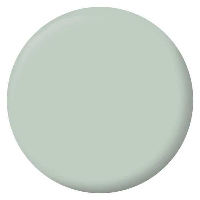RIPOLIN Pintura Terciopelo Color para Paredes, Carpintería de Radiadores - Verde Palatino 1 RIPOLIN Pintura Terciopelo Color para Paredes, Carpintería de Radiadores - Verde Palatino 1