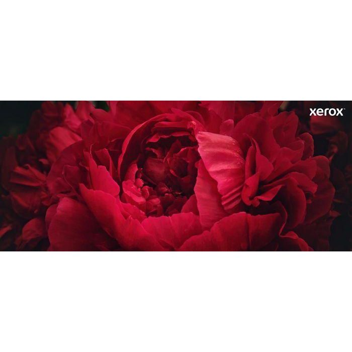 Xerox 006R04399 Cartucho de Tóner Negro Estándar (1200 Páginas) Compatible con Impresoras Xerox B225, B230 y B235 15