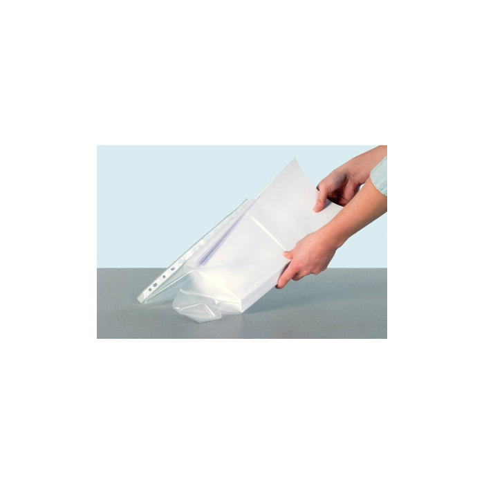 Funda multitaladro Leitz con fuelle DIN A4, 170 mc, cristal, pack 10 unidades 23