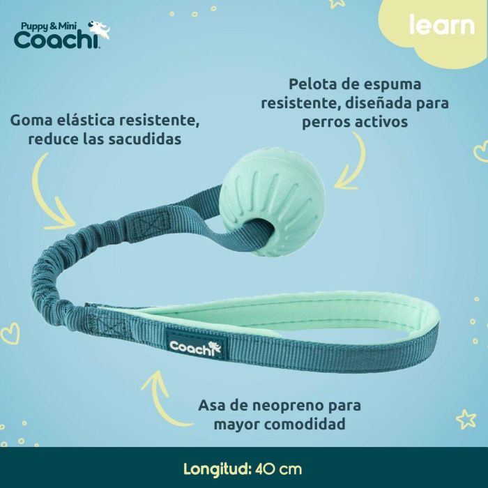Arnés para Perro Coachi 1