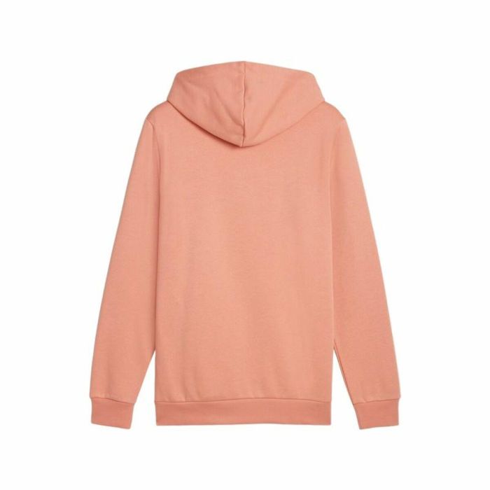 Sudadera con Capucha Hombre Puma 1