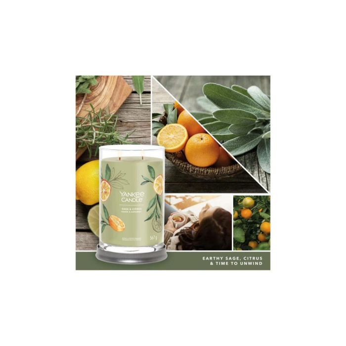 Vela Perfumada Yankee Candle Sage & Citrus 567 g 2