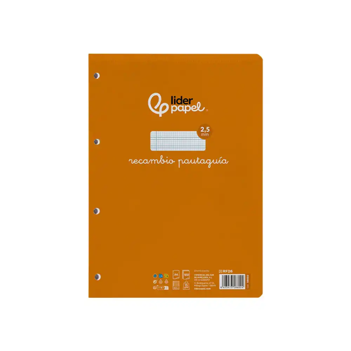 Liderpapel Recambio A4 PautaGuia 100 Hojas 75gr Cuadriculado Pautado 2,5mm con Margen y 4 Taladros 1 Liderpapel Recambio A4 PautaGuia 100 Hojas 75gr Cuadriculado Pautado 2,5mm con Margen y 4 Taladros 1