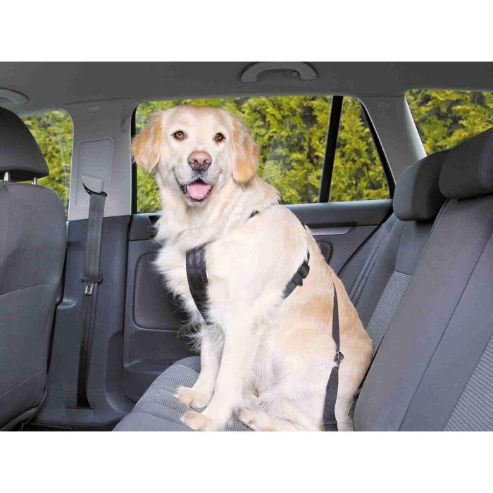 Arnés para Perro Trixie Negro L 1