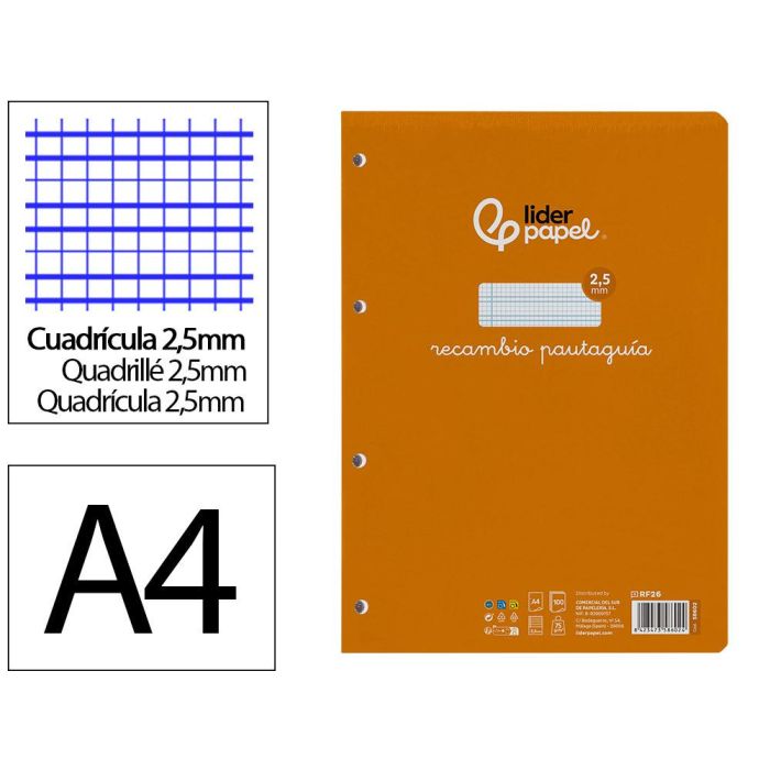 Recambio Liderpapel A4 Pautaguia 100 Hojas 75 gr-M2 Cuadriculado Pautado 2,5 mm Con Margen 4 Taladros