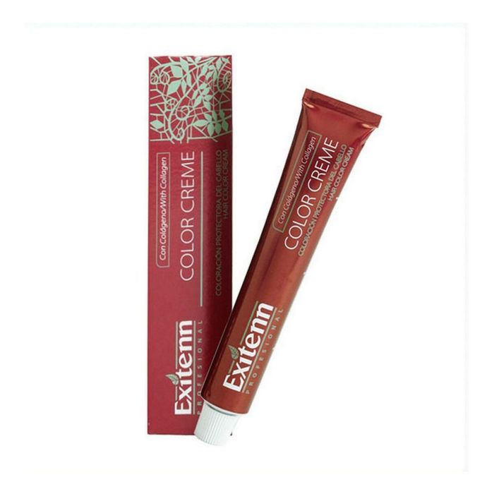 Exitenn Color Creme 60ml Color 00 Neutro Exitenn Color Creme 60ml Color 00 Neutro