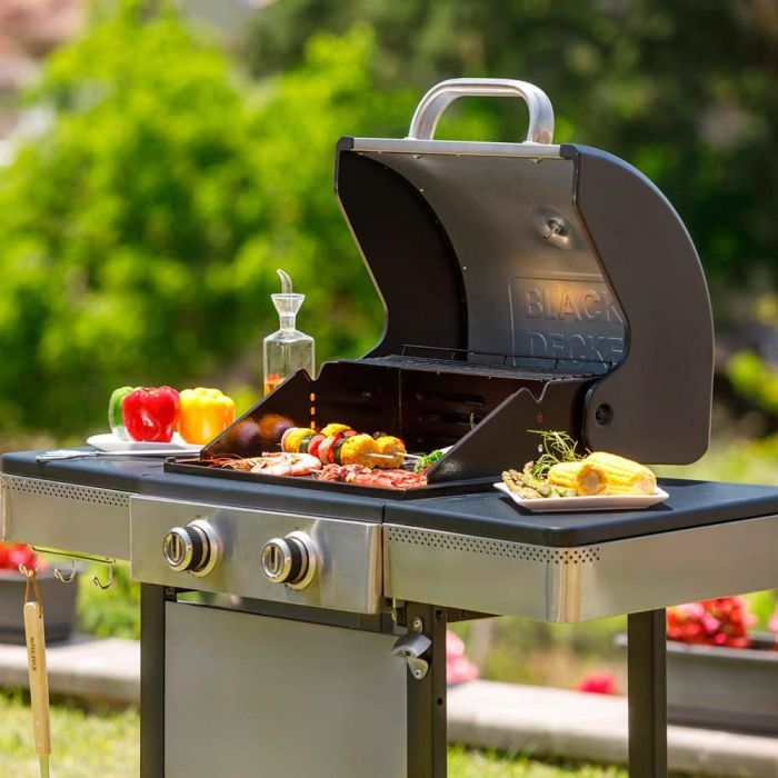 Barbacoa de gas bxog7200e con 2 quemadores 116 x 58 x 118,5 cm 2