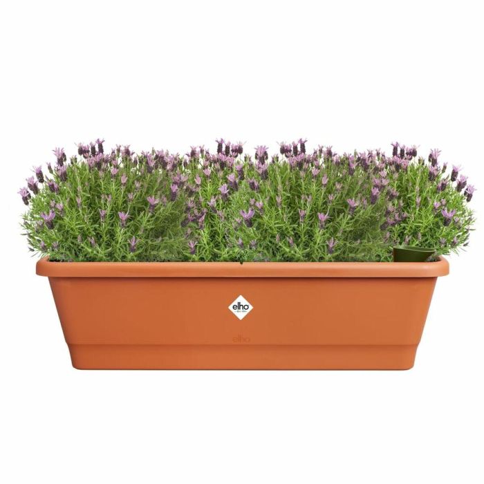 Elho ELH8711904527488 Noa Balconiere para Balcón Exterior Marrón 65x20x18 cm 100% Reciclado 0 Elho ELH8711904527488 Noa Balconiere para Balcón Exterior Marrón 65x20x18 cm 100% Reciclado 0