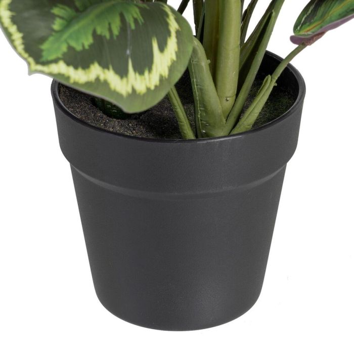 Planta Decorativa 37 x 37 x 41 cm Verde PVC 1