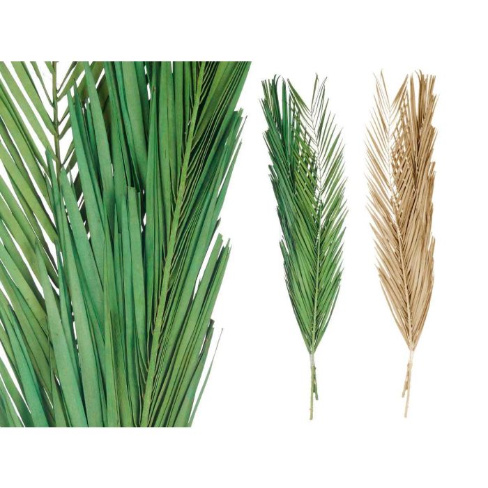 Ramillete Hojas Palmera Surt Verde y Natural Giftdecor 20x100x4 cm (20 Unidades) 1 Ramillete Hojas Palmera Surt Verde y Natural Giftdecor 20x100x4 cm (20 Unidades) 1
