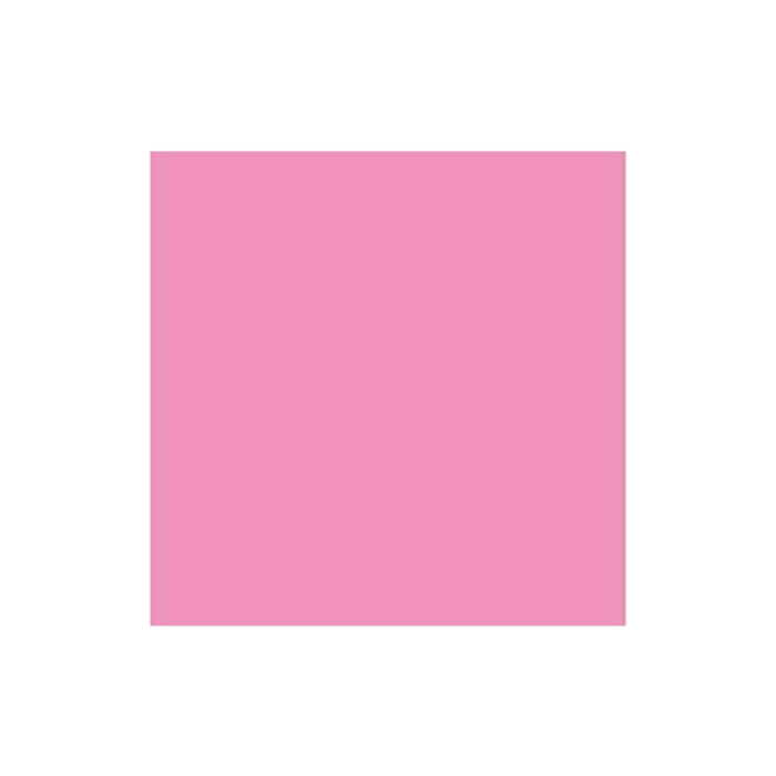 Iris Cartulina 50x65 cm 185 gr Rosa Chicle -25U- 1