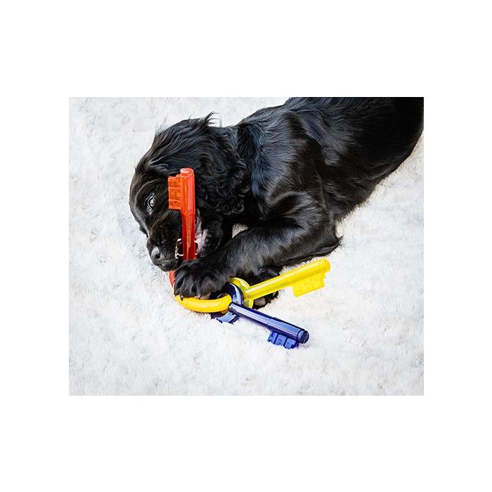 Nylabone Mordedor para Cachorros Teething Keys M Juguete Alivio Dentición Texturizado Sabor Bacon Nylon Higiene Dental y Masticación Positiva 3