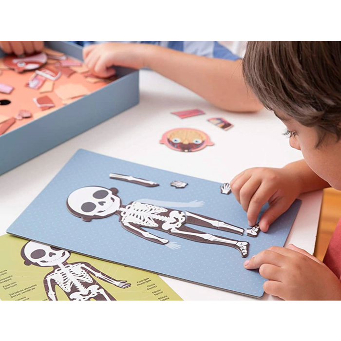 Apli Kids Juego Magnético El Cuerpo Humano 18531 Educativo con 63 Imanes y Escenario Extraíble para Aprender Anatomía +5 Años 3
