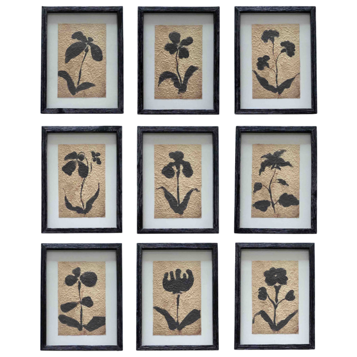 DKD Home Decor Cuadro Urban Botánico de Abeto y Cristal Negro Marrón 40 x 30 cm (9 Unidades)