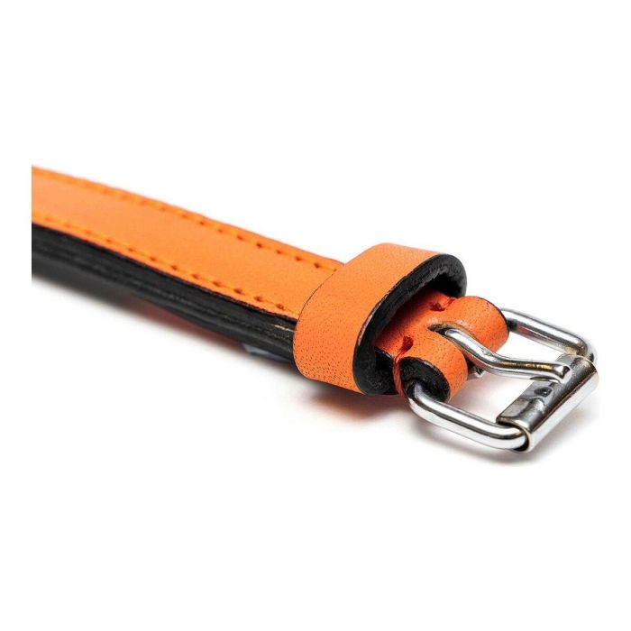 Collar para Perro Gloria Acolchado Naranja (40 x 2 cm) 2 Collar para Perro Gloria Acolchado Naranja (40 x 2 cm) 2