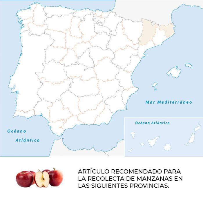 Tijera para la recolección de manzanas ticimam14-am manzana nules 1