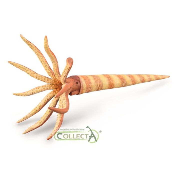 Orthoceras - L - 88903 - Collecta Orthoceras - L - 88903 - Collecta