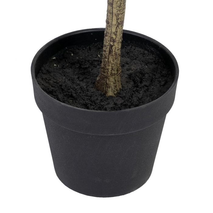 Planta Decorativa Polietileno Eucalipto 80 x 82 x 180 cm 1 Planta Decorativa Polietileno Eucalipto 80 x 82 x 180 cm 1