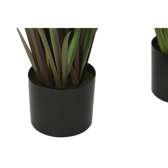 Planta DKD Home Decor Marron Claro Rojo 35 x 120 x 35 cm (2 Unidades) 1 Planta DKD Home Decor Marron Claro Rojo 35 x 120 x 35 cm (2 Unidades) 1