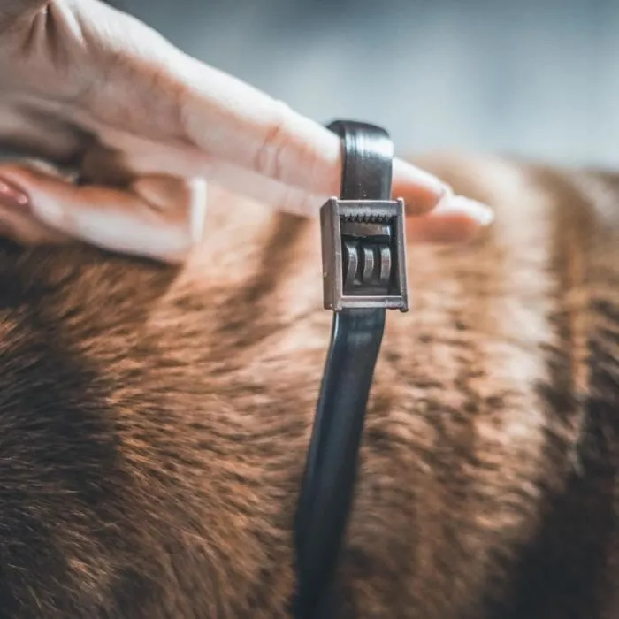 Vetocanis Collar Antipulgas y Garrapatas para Perros Pequeños hasta 10 kg - 4 Meses de Protección 5