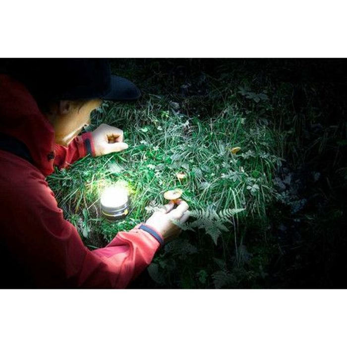 Foco LED Brennenstuhl OLI 0300 A 350 lm 3 Foco LED Brennenstuhl OLI 0300 A 350 lm 3