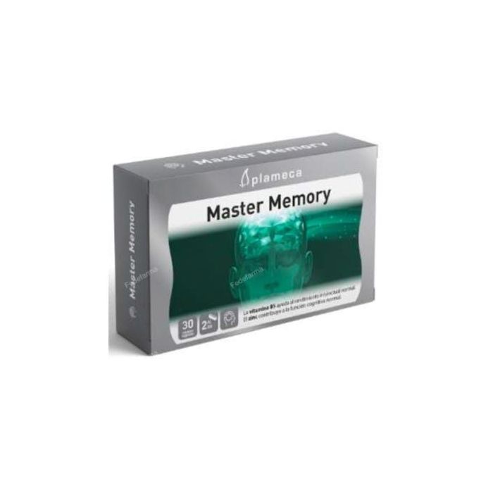 Master Memory