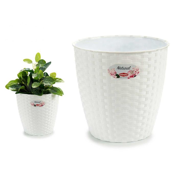 Maceta Natural Inter Exter 24Diam Blanco Stefanplast 24X22CM (6 Unidades) Maceta Natural Inter Exter 24Diam Blanco Stefanplast 24X22CM (6 Unidades)