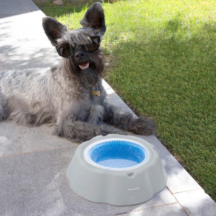 Bebedero Refrescante para Mascotas Freshty InnovaGoods 7 Bebedero Refrescante para Mascotas Freshty InnovaGoods 7