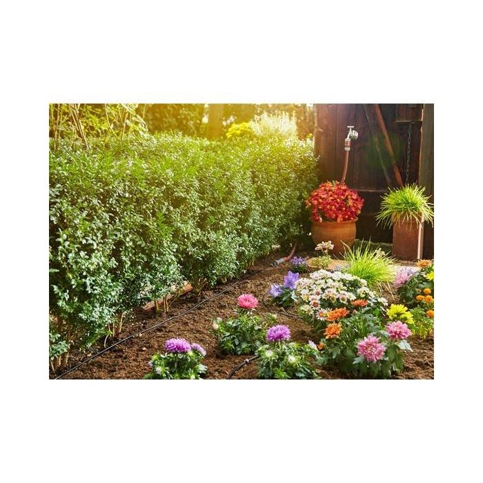 Gardena Kit de Riego por Goteo Micro-Drip-System de Iniciación para Setos y Hileras de Plantas 15 m con Goteros 4,6 mm 1 Gardena Kit de Riego por Goteo Micro-Drip-System de Iniciación para Setos y Hileras de Plantas 15 m con Goteros 4,6 mm 1