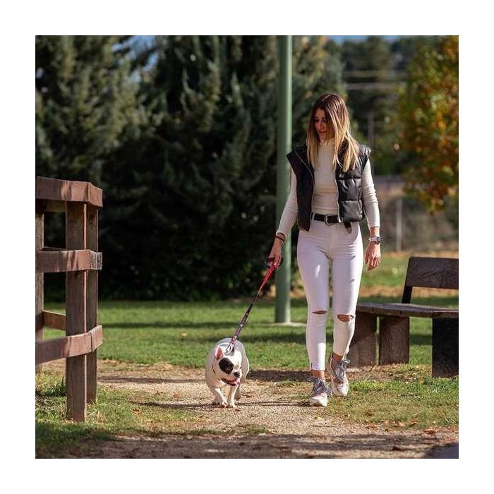 DC Pets t2s:s Correa Premium para Perros, Talla S, Azul 5