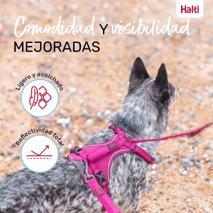 Halti Arnés para Perro Anatomy Burdeos Talla M, Ajustable, Reflectante 360º, Cuerpo 48-68cm, Cuello 35-55cm 1 Halti Arnés para Perro Anatomy Burdeos Talla M, Ajustable, Reflectante 360º, Cuerpo 48-68cm, Cuello 35-55cm 1