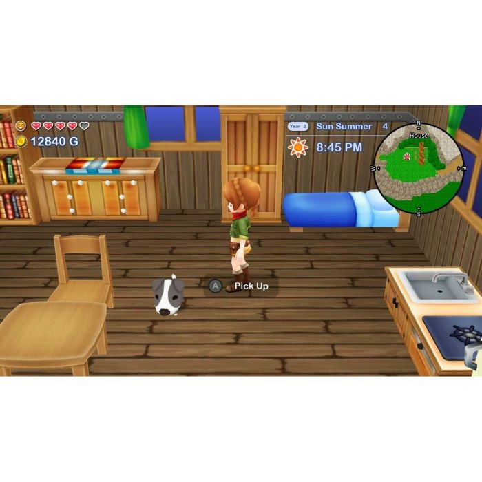 Just For Games JUS1743244651197 Harvest Moon: El Valle Perdido + Skytree Village - Juego para Nintendo Switch 10