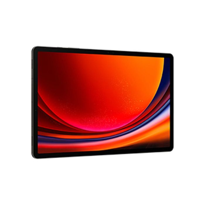 Samsung Galaxy Tab S9+ Wifi 12/256 Gray 2 Samsung Galaxy Tab S9+ Wifi 12/256 Gray 2