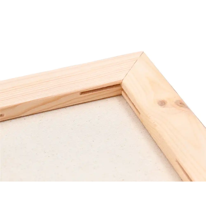 Liderpapel Bastidor Lienzo Algodón 100% 280 g/m² Grapado Trasero 22x16 cm 5