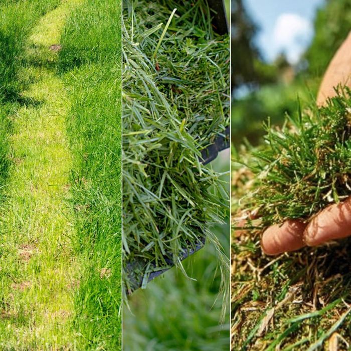 Cortacésped de Batería Cecotec E1 Liberty 20 V 32 cm 20-70 mm 30 L 6