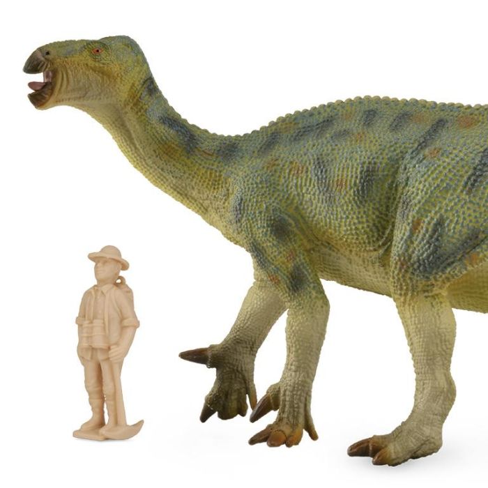 Iguanodon Deluxe 1:40 - Deluxe - 88812 - Collecta 1 Iguanodon Deluxe 1:40 - Deluxe - 88812 - Collecta 1