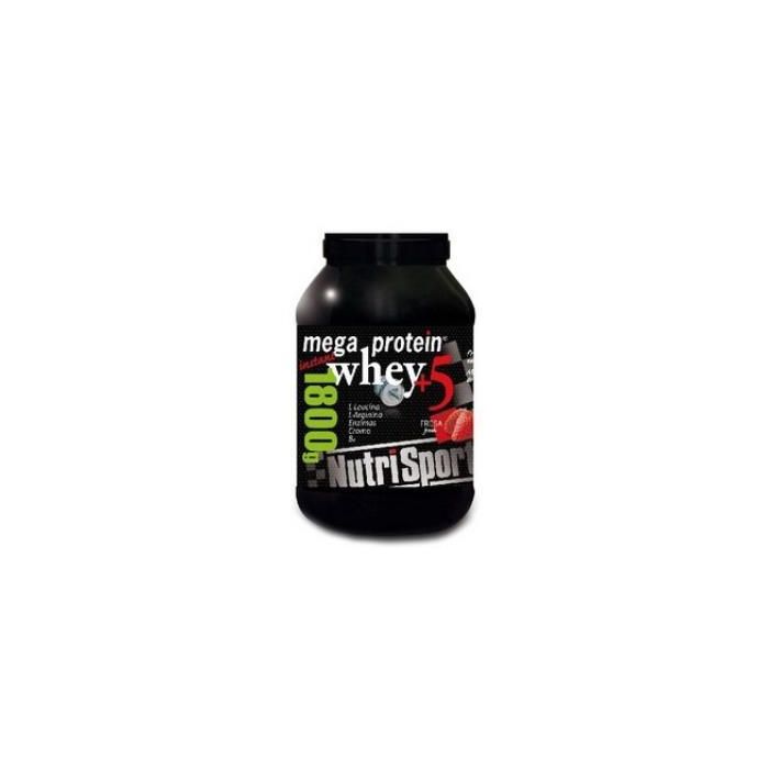 NUTRISPORT Mega Protein 5 Whey Vainilla 1,8Kg. Proteína de Suero para Recuperación y Absorción Muscular