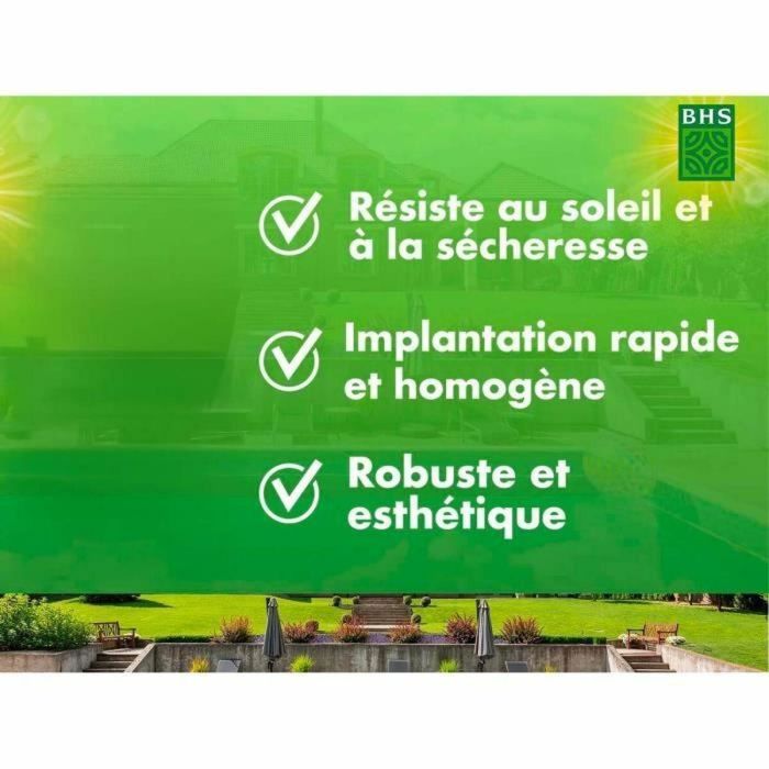 BHS BHS1689087375403 Semillas Césped Rústico Sur 1kg para 40m². Alta resistencia a sequía con festuca, rápido y consistente. 5 BHS BHS1689087375403 Semillas Césped Rústico Sur 1kg para 40m². Alta resistencia a sequía con festuca, rápido y consistente. 5