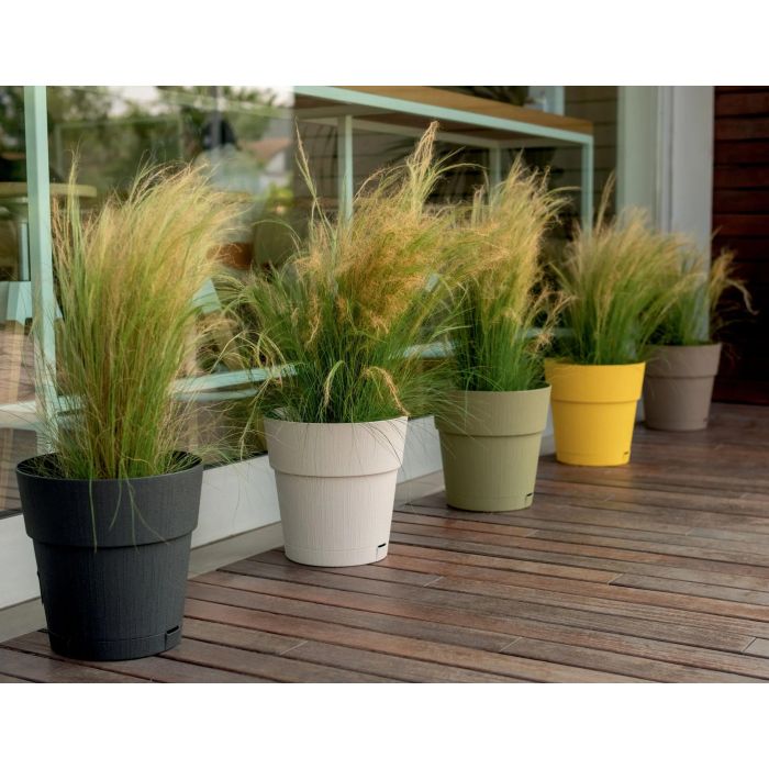 Stefanplast Maceta Ethica con Depósito de Agua 2 L, 40 x 39 cm, Modelo Topo, STE8003507684539