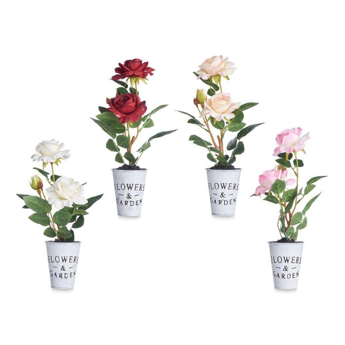 Planta Rosa Bote Metal Surtidos Ibergarden 15x36x12cm (12 Unidades) 1 Planta Rosa Bote Metal Surtidos Ibergarden 15x36x12cm (12 Unidades) 1