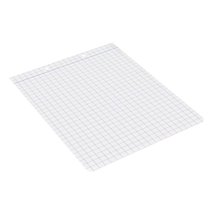 Recambio Liderpapel Cuarto Apaisado 100 H 2Tca-08 Cuadro 8 mm 2 Taladros Con Margen 1